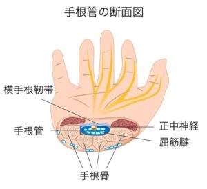 杉並区、永福町、西永福、久我山、明大前、世田谷、手首、手根管症候群、手のしびれ