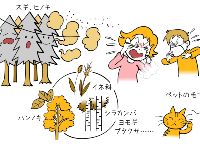 つらい花粉症を鍼灸で改善！！　薬に頼らず自然治癒力UP！