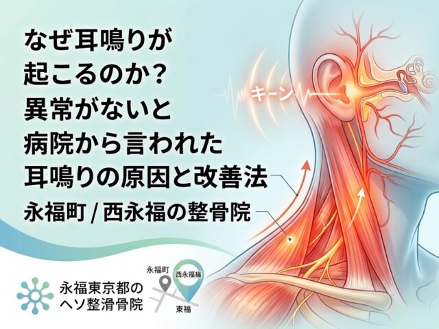 なぜあなたの耳鳴りは治らない?病院で「異常なし」と言われた耳鳴りの本当の原因と改善法【永福町・西永福の整骨院】